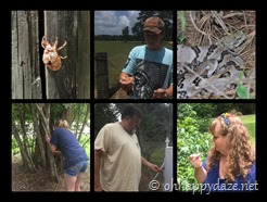 New Phototastic Collage1