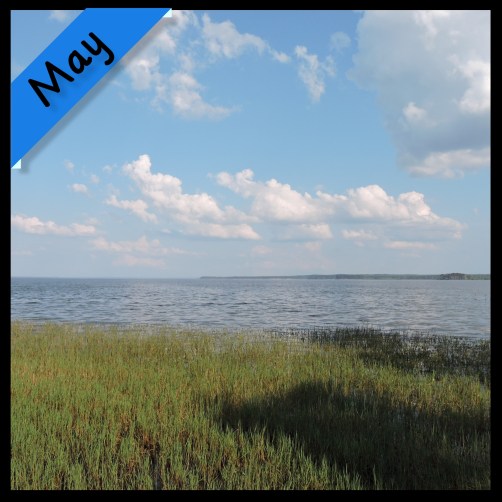 New Phototastic Collage