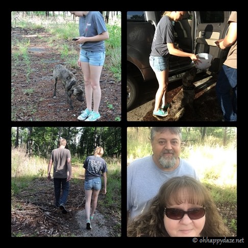 New Phototastic Collage