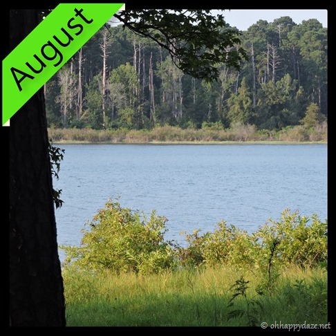 New Phototastic Collage