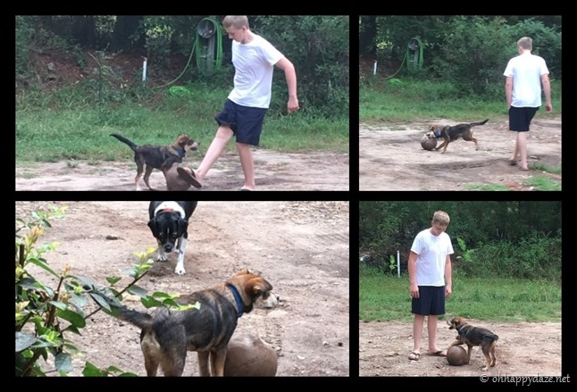 PhototasticCollage-2018-08-30-11-39-00