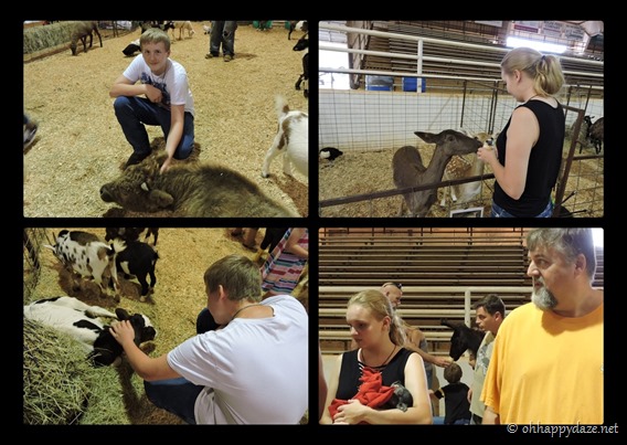 New Phototastic Collage