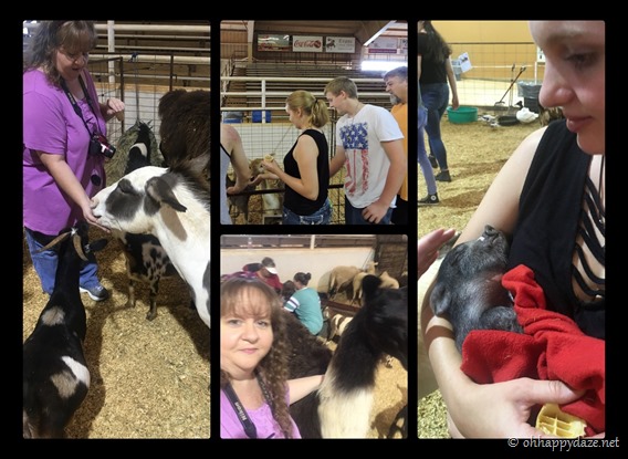 New Phototastic Collage3