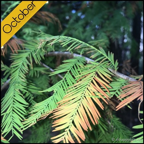 oct