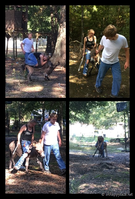 PhototasticCollage-2018-10-05-13-03-24