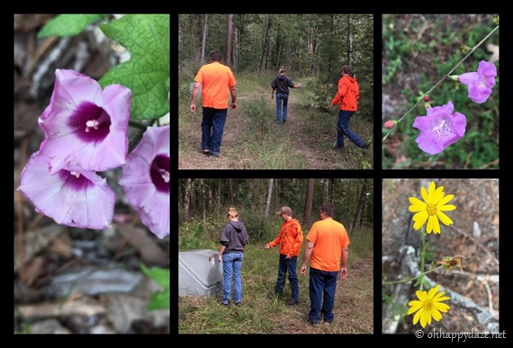 PhototasticCollage-2018-10-21-17-35-26