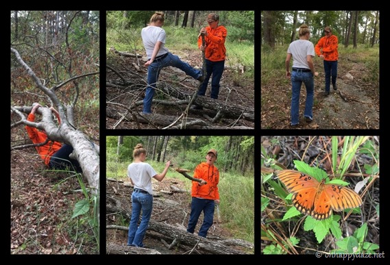 PhototasticCollage-2018-10-21-17-37-37