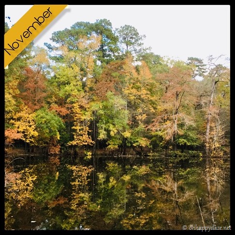 nov