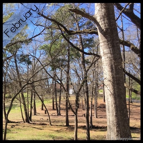 New Phototastic Collage