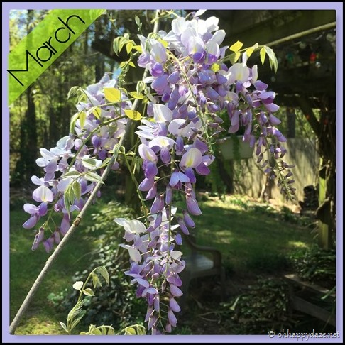 New Phototastic Collage