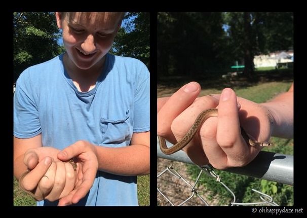 New Phototastic Collage3