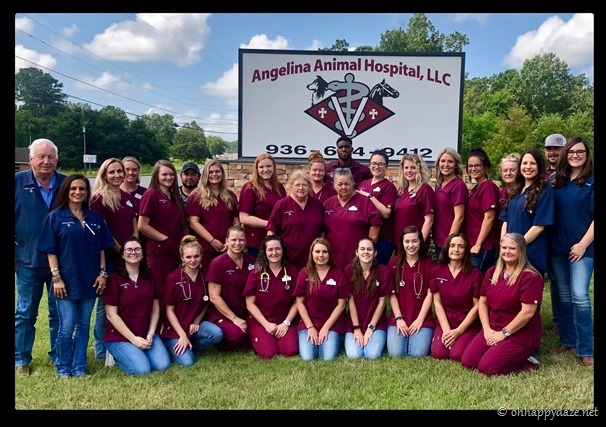 New Phototastic Collage