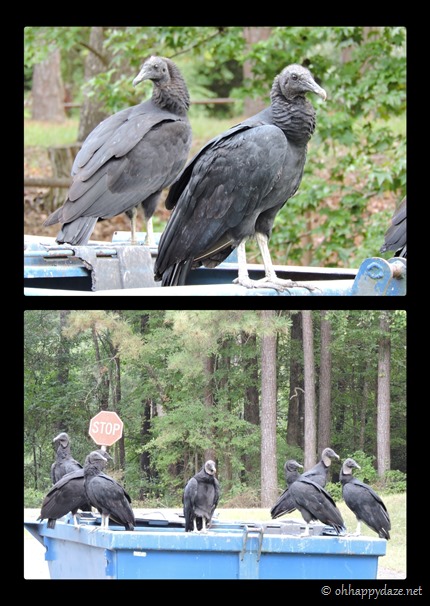 New Phototastic Collage2