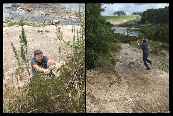 New Phototastic Collage2