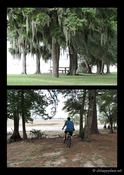 New Phototastic Collage2