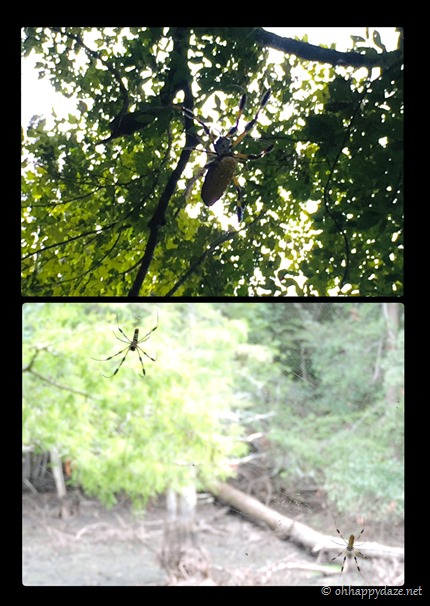 New Phototastic Collage4