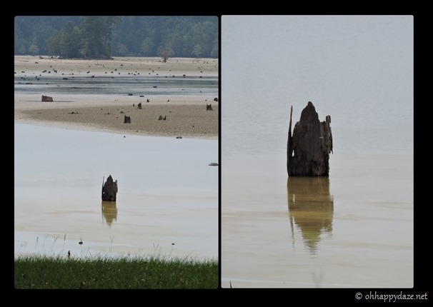 New Phototastic Collage5