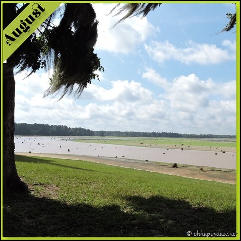 New Phototastic Collageaug