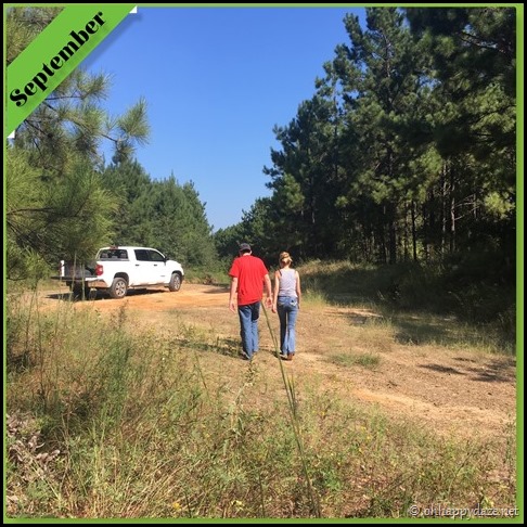 New Phototastic Collagesept